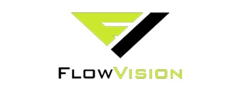 Flow Vision